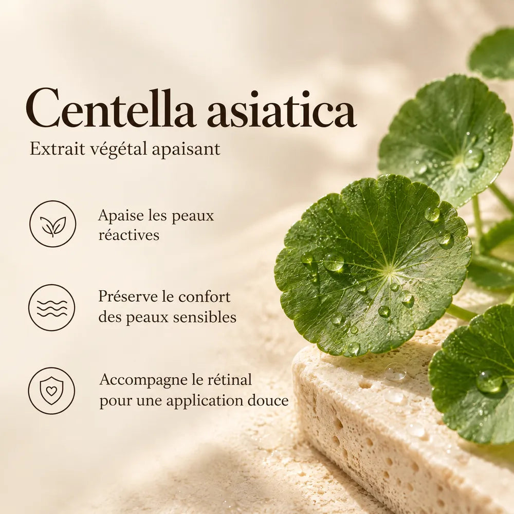 Centella asiatica (cica)