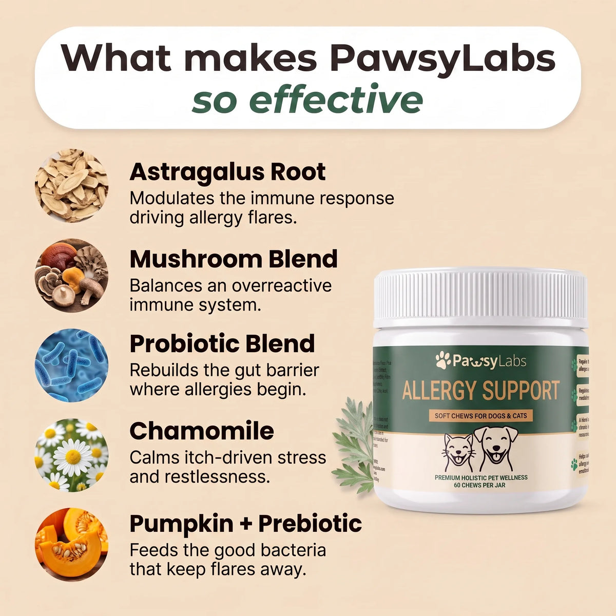 PawsyLabs™ - Allergy Support Soft Chews for Dogs & Cats