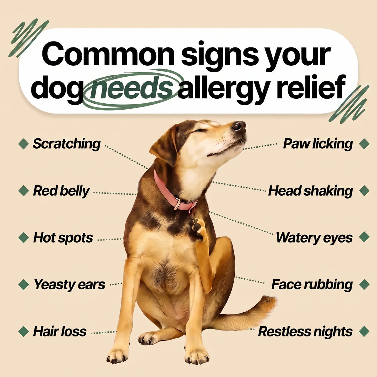 PawsyLabs™ - Allergy Support Soft Chews for Dogs & Cats