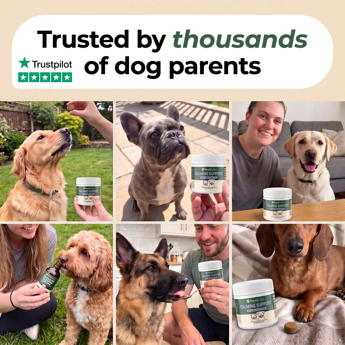 PawsyLabs™ - Calming Support Soft Chews for Dogs & Cats