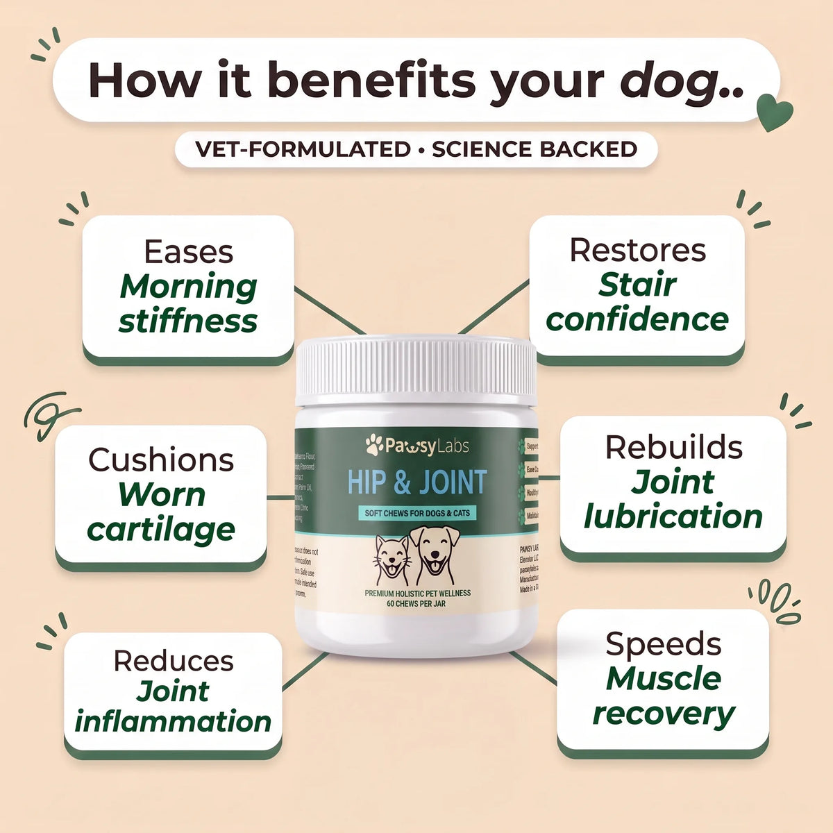 PawsyLabs™ - Hip & Joint Soft Chews for Dogs & Cats