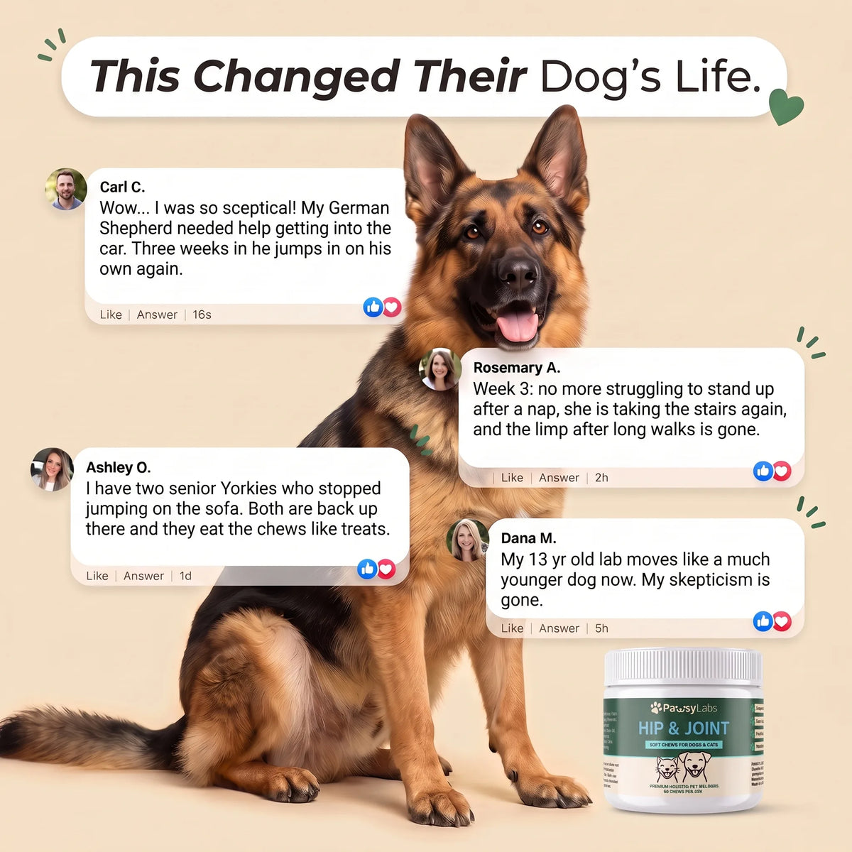 PawsyLabs™ - Hip & Joint Soft Chews for Dogs & Cats