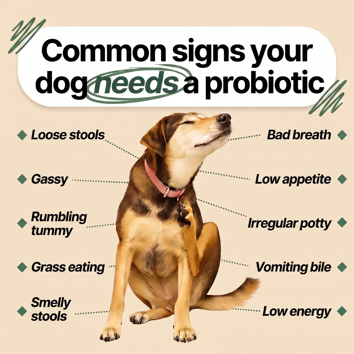 PawsyLabs™ - Probiotic Soft Chews for Dogs & Cats
